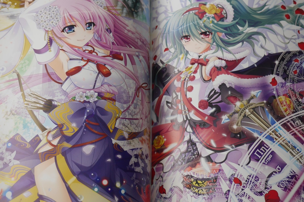 JAPAN Yukari Higa 15th Art Works (The Familiar of Zero) | eBay
