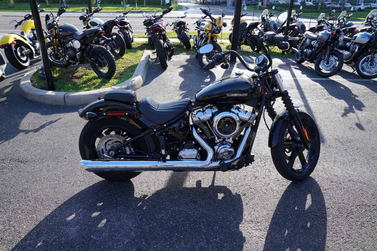 2025 Harley-Davidson Â® Softail Street Bob