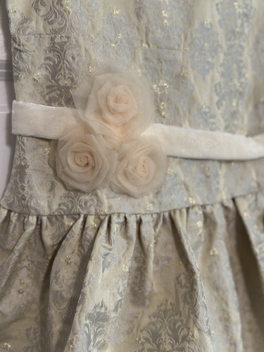 Girl’s American Girl Gold & Cream Damask Shimmer Tulle Party Dress Size 12 - Picture 3 of 5