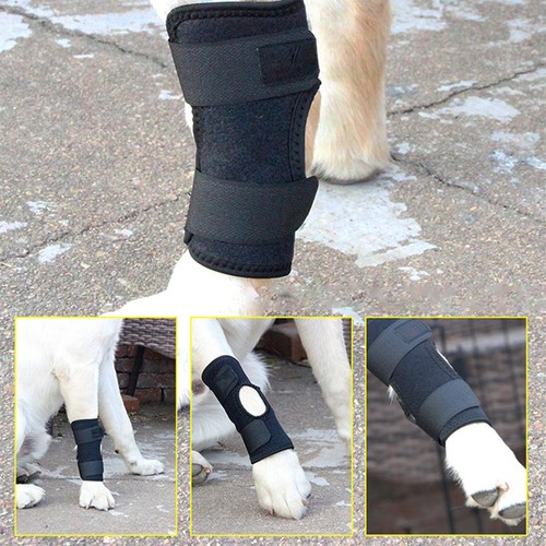 Dog Knee Brace Leg Brace for Sprain ACL Arthritis Joint Pet Dog Back Leg Support - Picture 3 of 15