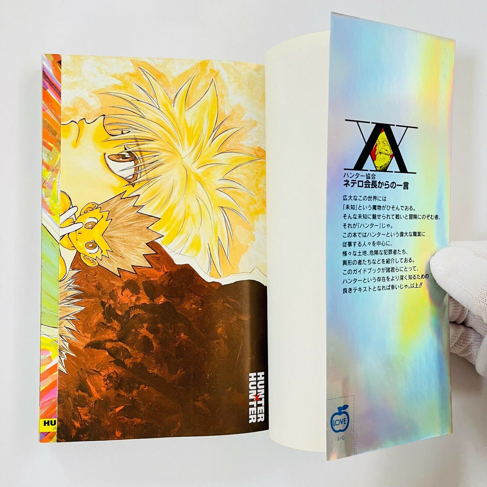 Categoria:!Esboços, Hunter × Hunter Book!