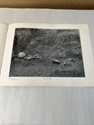 Foto 5 di 7