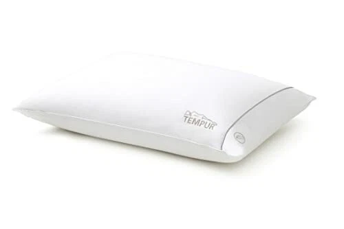 Ebay top tempur pillow