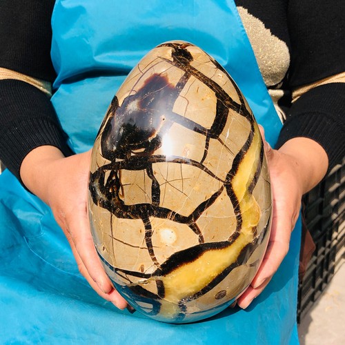 13.99LB Natural Dragon Septarian Egg Quartz Cluster Crystal Healing - Picture 9 of 15