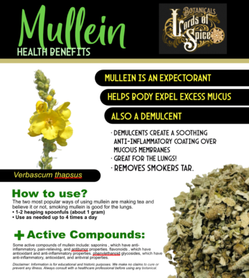 Mullein SEEDS (Verbascum Thapsus) Medicinal Dried Herb USA | eBay