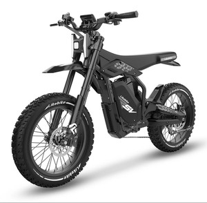 Likebike LF-03 PRO 60V 27Ah 20in Tubeless Fat Tires Full Suspension Black