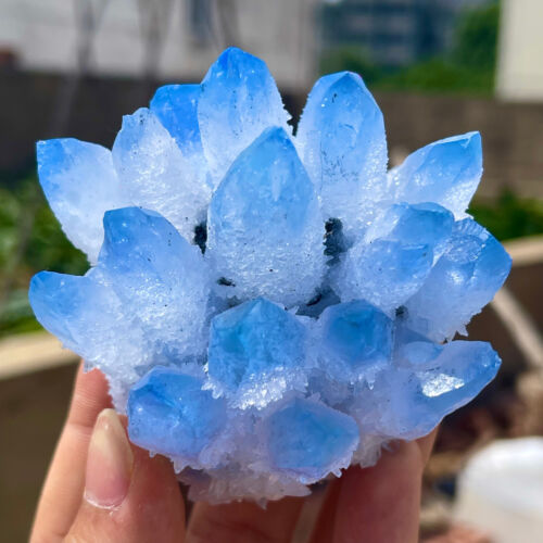 284G New Find Blue Phantom Quartz Crystal Cluster Mineral Specimen - Imagen 3 de 10