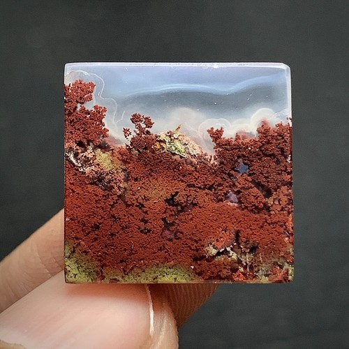 Tiny Scenic Moss Agate Cabochon 17x17x3.5mm High Quality 13.5 ct - Picture 6 of 6