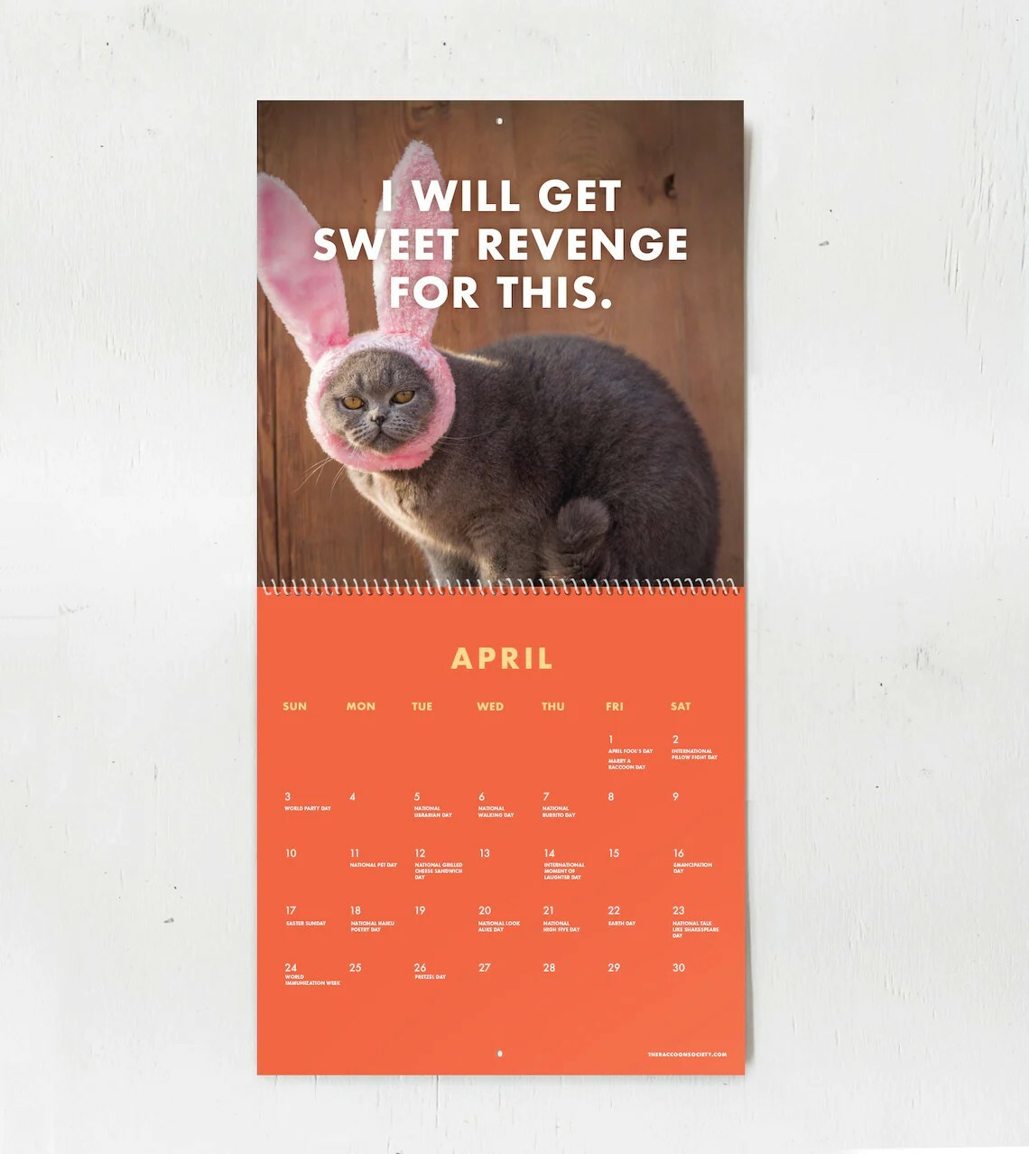 cute-pissed-off-cats-calendar-ebay
