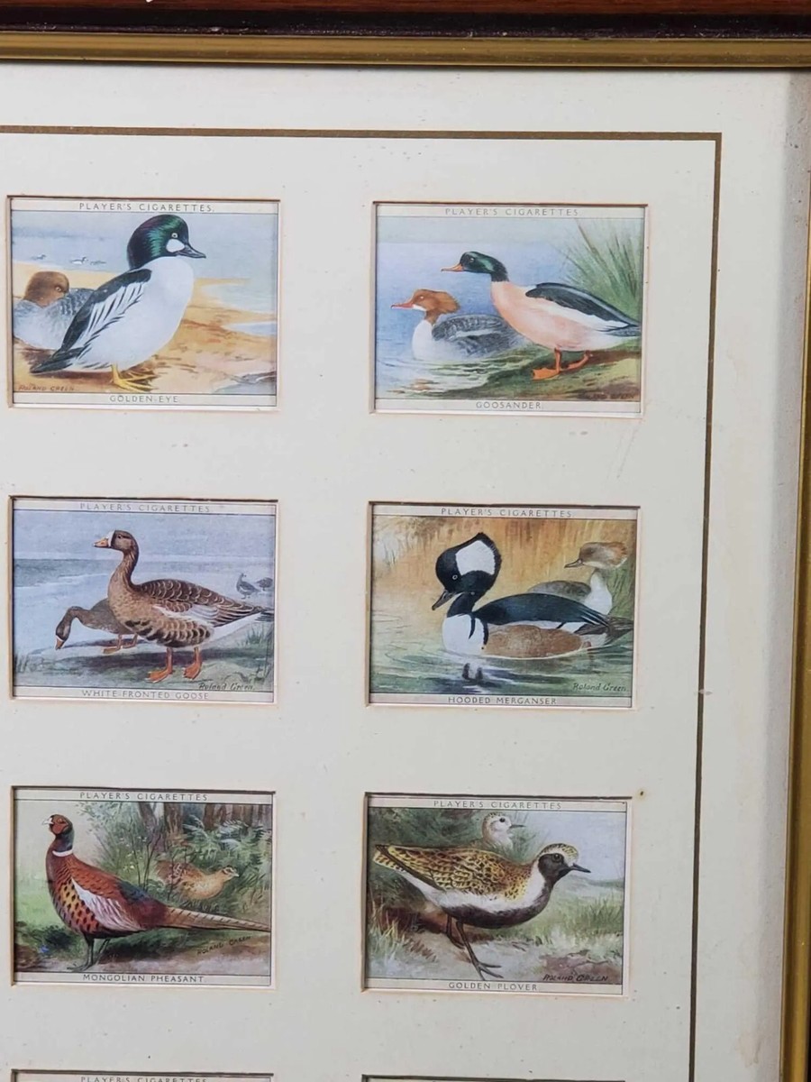 Players Cigarette Cards Game Birds & Wild Fowl 1928, Complete Set 25 Framed 