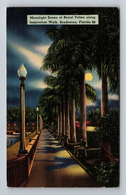 #ad Bradenton FL Florida Moonlight Scene Of Royal Palms Inspiration Vintage Postcard $0.99