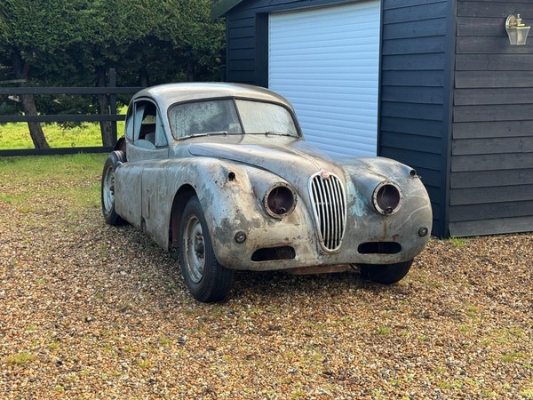 Image Placeholders2_edited.jpg