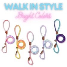 Slip Lead Dog Leash, 5 ft Dog Training Leash No Pull Dog Leash Pet Rope Nylon