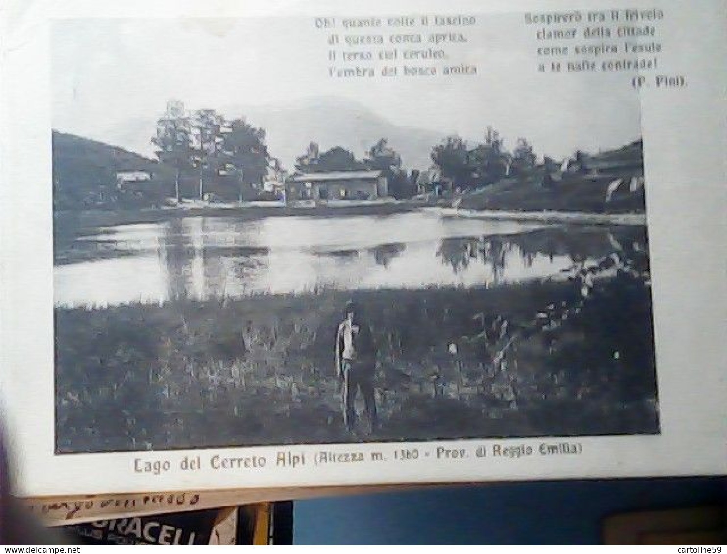 REGGIO EMILIA APPENNINO REGGIANO LAGO CERRETO ALPI ANIMATA POESIA PINI VB1915 KU