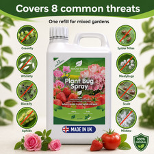 PLANT SPRAY BUGS Greenfly Blackfly Whitefly Aphids NATURAL 2.5L REFILL