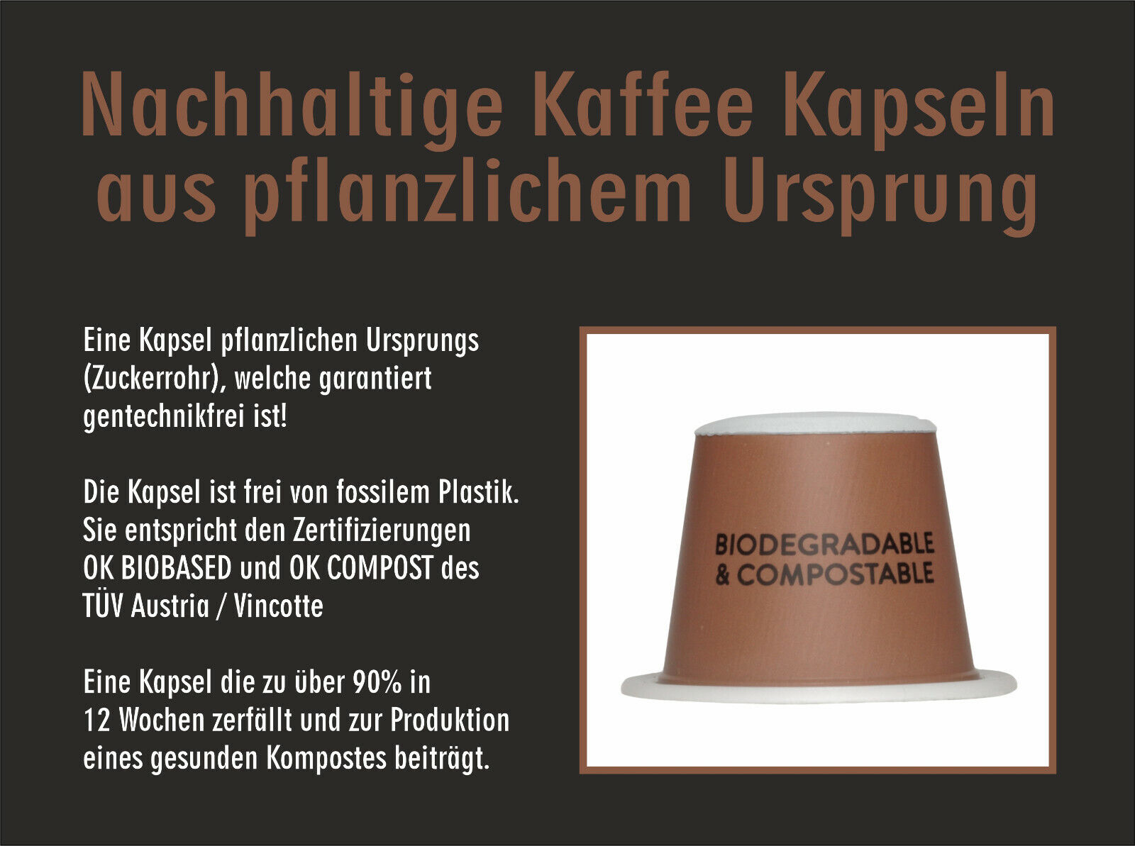 Bild 4 von 4