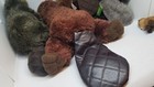 Bild 9 von 12