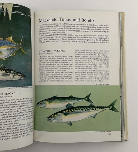 Wondrous World Of Fishes Hardcover Book National Geographic Society Enlarged - Imagen 7 de 8
