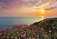 Komar Lands End Wall Mural Purple on sale Komar Lands End Wall Mural Purple on sale