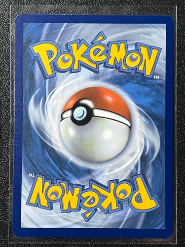 Hippopotas 079/189 Reverse Holo Common Astral Radiance Pokemon - Picture 3 of 5