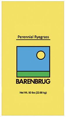50-Lb. Perennial VNS Ryegrass Seed | eBay