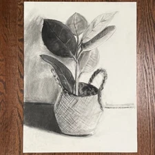 Original Still Life Drawing: Charcoal on paper, 18" x 24"