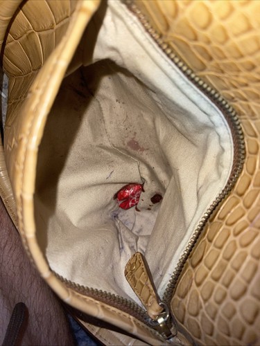 brahmin handbags - Picture 7 of 10