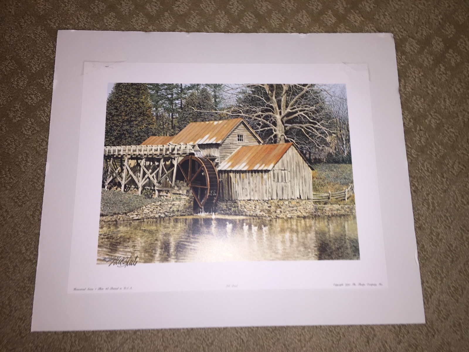 Picture 5 of 10