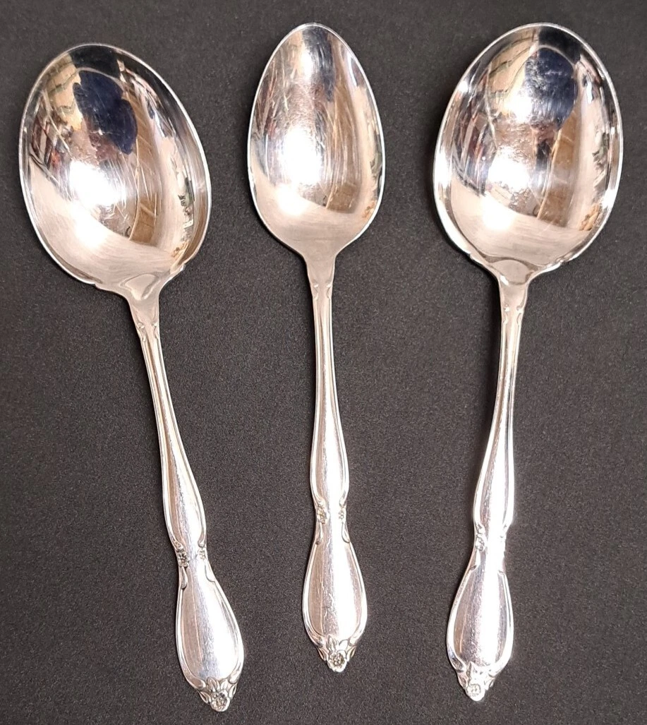 Oneida Community Chatelaine Stainless Serving Spoon And 2 Round Casserole 8.5"