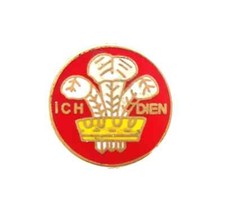 Prince of Wales Feathers Small Round Enamel Lapel Pin Badge T315