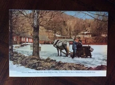 1951 vintage original magazine photo Farmer Collects Sap From Vermont Maple Tree