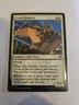 Owlin Historian *Common* Magic MtG x1 Secrets of Strixhaven