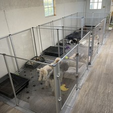 Acrylic Indoor Dog Playpen Heavy-Duty with Metal Frame Door for Puppies Bunnies