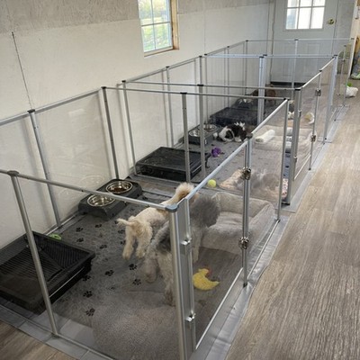 Acrylic Indoor Dog Playpen Heavy-Duty with Metal Frame &Door for Puppies Bunnies
