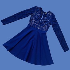 Windsor Lace Skater Dress Womens XS Navy Blue Long Sleeve Cocktail Party EUC
