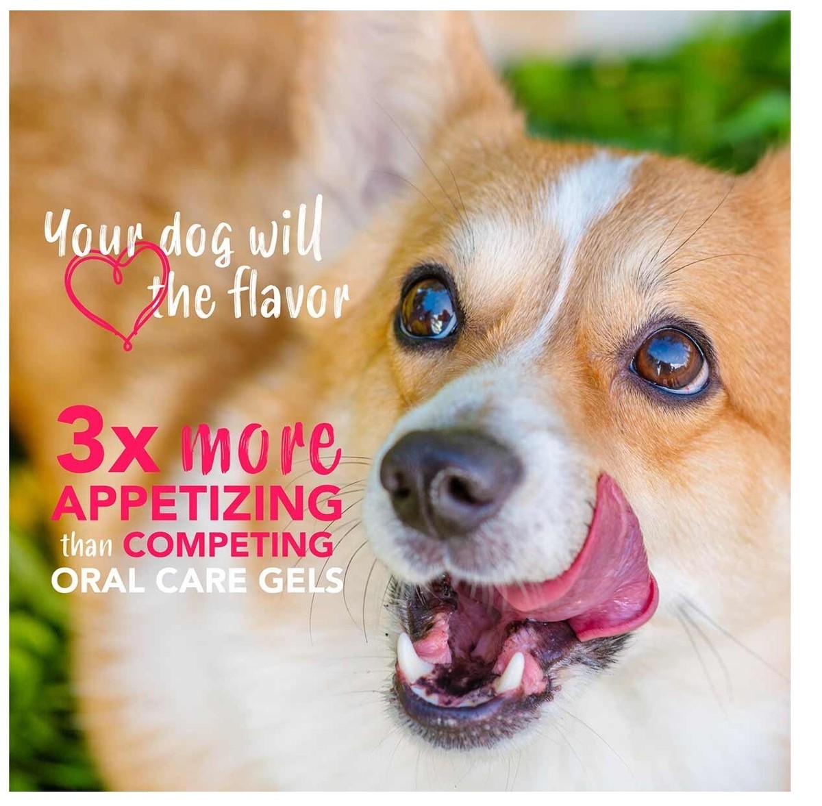 Dog Teeth Cleaning, Pet Toothly Gel Cleaner, 4.92x0.47 Inches Gentle Formula, Freshening Action, Easy-To-Use Teethly Care Tool For Puppies, Kittens, Indoor, Travel, Home, Daily Use