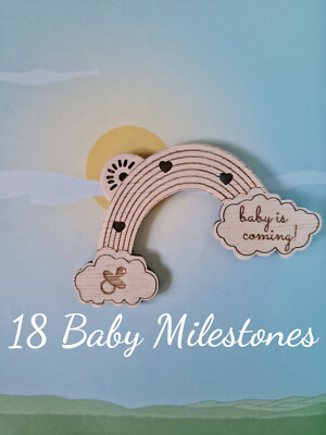 18 Baby Meilensteine REGENBOGEN Holz Karten, Neugeborenen Monat Tracker, Kinderzimmer Deko