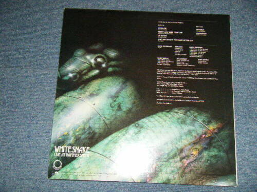 Whitesnake Japan 1980 MPF-1288 Original NM LP LIVE AT HAMMERSMITH - Bild 2 von 6