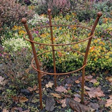 Peony Plant Support Flower Frame Small Steel Garden Shrub Rose Natural Rust