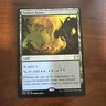Wizards Magic: The Gathering Sunken Ruins Land Rare Double Masters Regular