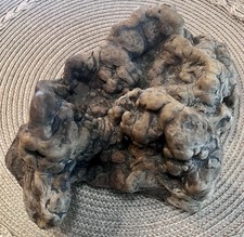 GROWTH MANZANITA ROOT WOOD OLD SPECIMEN UNIQUE RARE SAMPLE NATURAL NATURE