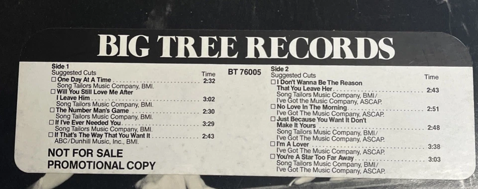 Hot If That's The Way You Want It...You Got It (1978) Vinyl LP (BT 76005) Promo - Image 3 of 4