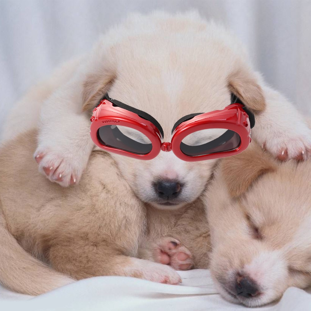Occhiali per Cani - Accessori per Animali Domestici foto 3