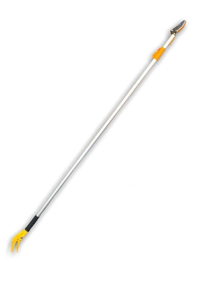 Forbice Telescopica Raccogli Frutta Orto Cibo Asta Con Lama Per Lavoro Campi - Immagine 2 di 3