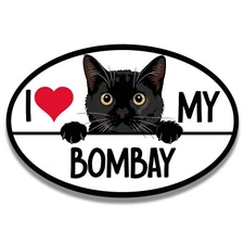 Magnet Me Up I Love My Bombay Cat Breed Car Magnet Decal, 4x6 Inches, Peeking