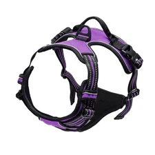 Adjustable Dog Harness Vest with Night Reflective Strip for Medium Outdoor