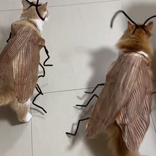 Cat Cosplay Dress Up Cockroach Costume Pet Breathable Clothing Funny Party Decor