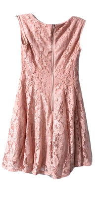 chinese dress ladies Olivia Pink Bodycon Short Lace Dress main image 0
