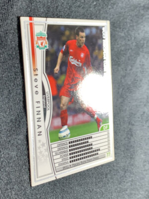 Steve Finnan WCCF PANINI soccer card made in Japan sports Fight