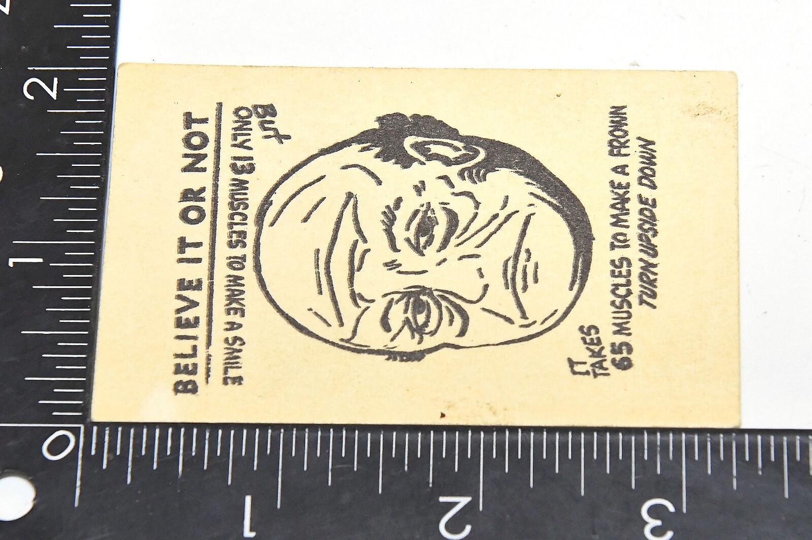 Picture 4 of 4